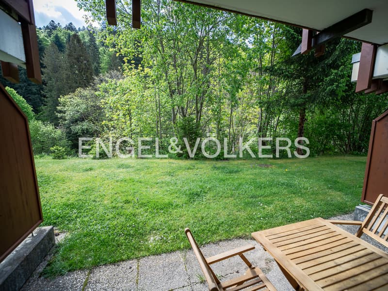 Ferienwohnung mitten in der Natur (8)