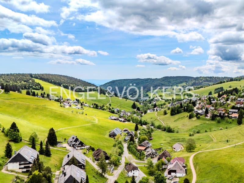 2,5-Zi.-Ferienwohnung mit Panoramablick in Todtnauberg, kernsaniert (12)