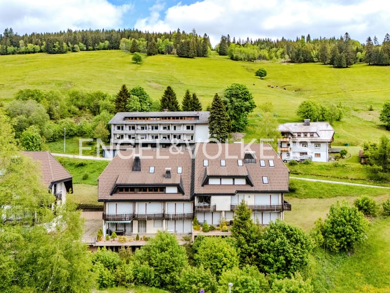2,5-Zi.-Ferienwohnung mit Panoramablick in Todtnauberg, kernsaniert (11)