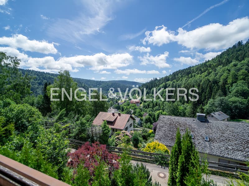Single-family house with panoramic view (2)