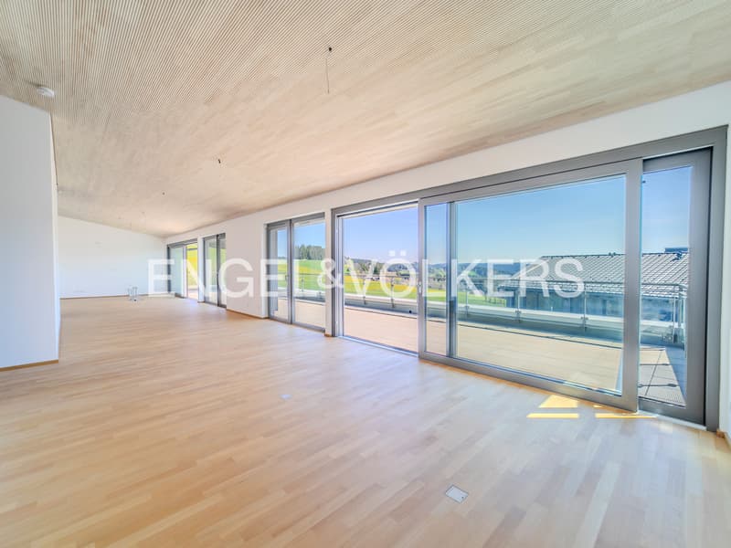 Panorama Attika Residenz in Breitnau - Exklusives Wohnen im Hochschwar (4)