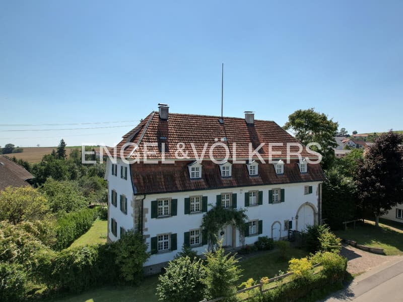 Historisches Anwesen trifft moderne Eleganz - ehemalige Vogtei mit Alp (2)