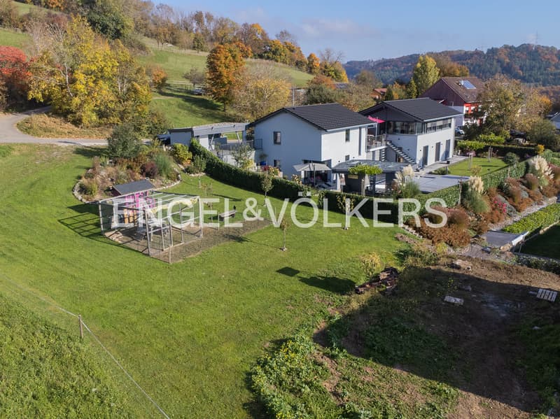 Villa d'architecte exclusive avec vue sur les Alpes près de la frontière suisse (2)