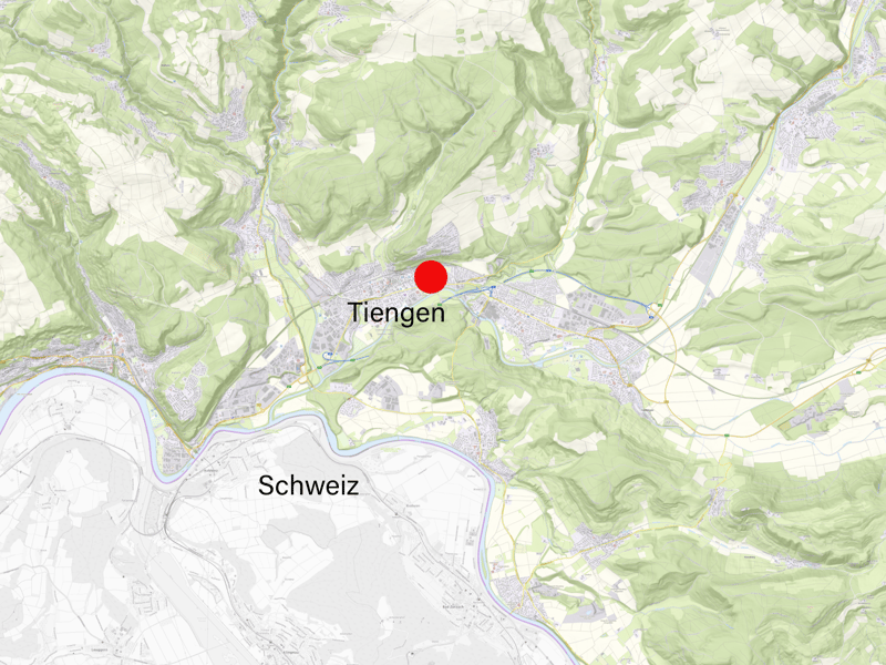 Appartamento nuovo a Tiengen (4)