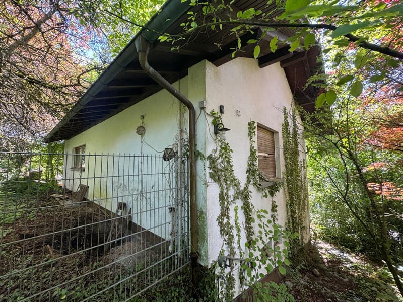 Casa familiare caratteristica nel sonno della bella addormentata (2)