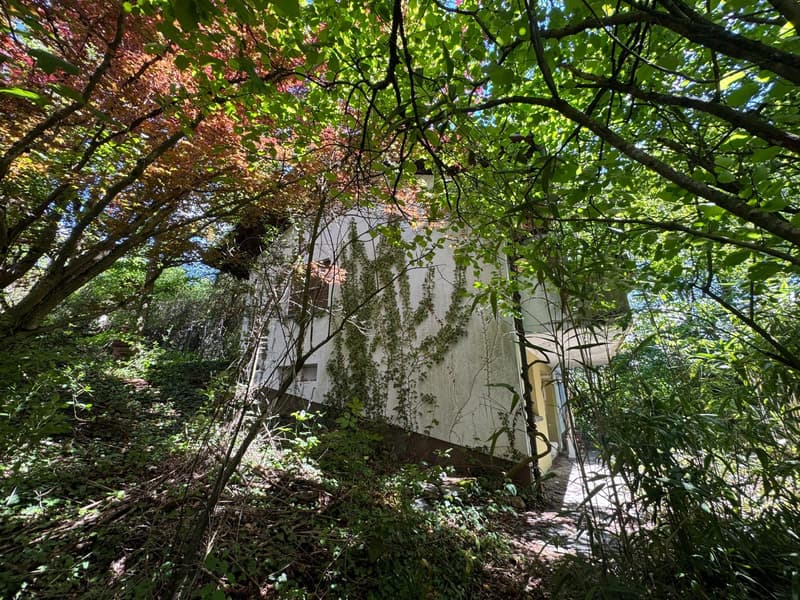 Casa familiare caratteristica nel sonno della bella addormentata (3)