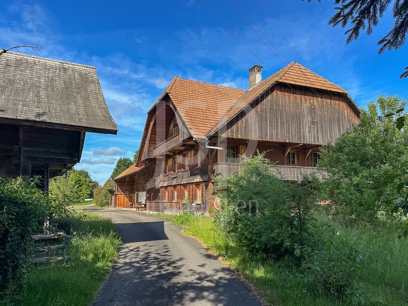 Well-maintained farmhouse with 3'397m2 plot (2)