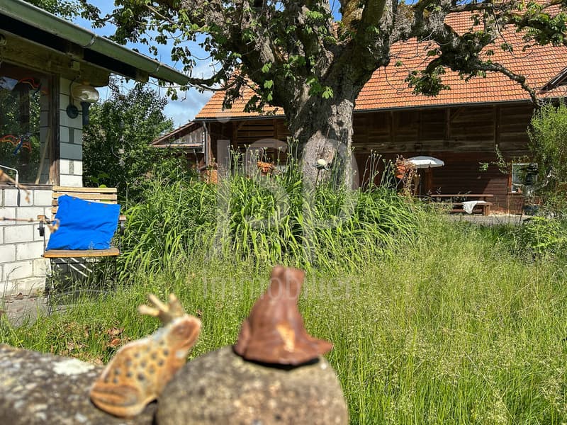 Well-maintained farmhouse with 3'397m2 plot (7)