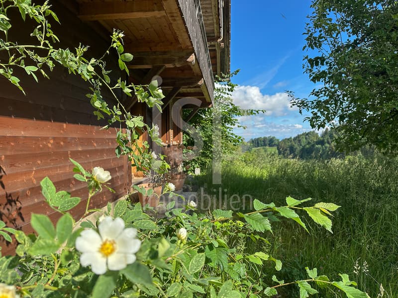 Well-maintained farmhouse with 3'397m2 plot (3)