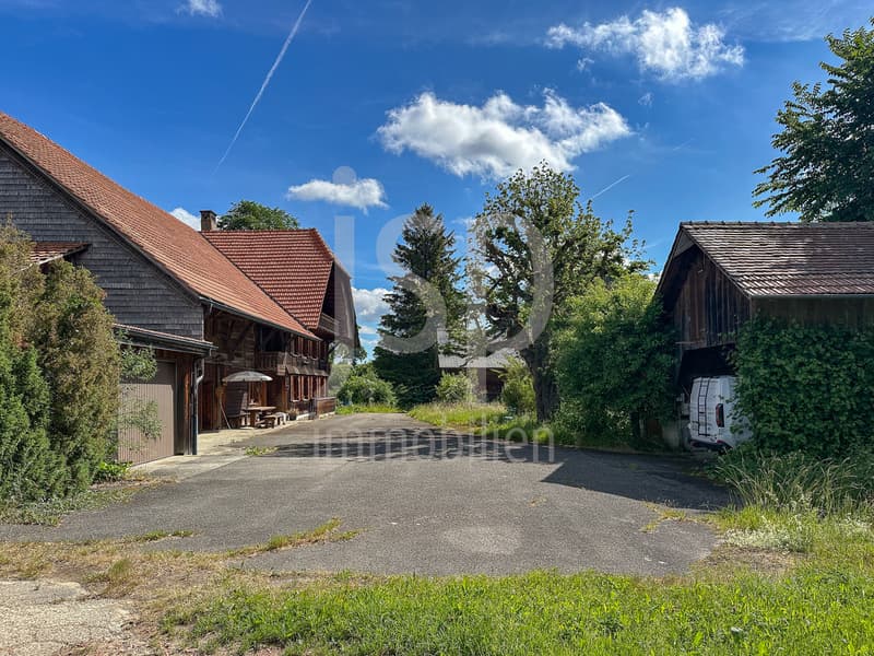 Well-maintained farmhouse with 3'397m2 plot (9)