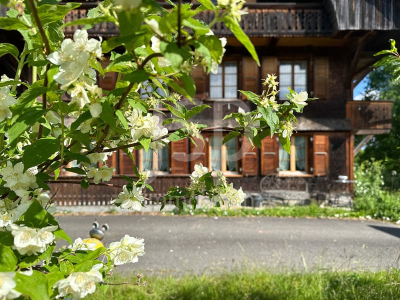 Well-maintained farmhouse with 3'397m2 plot (4)