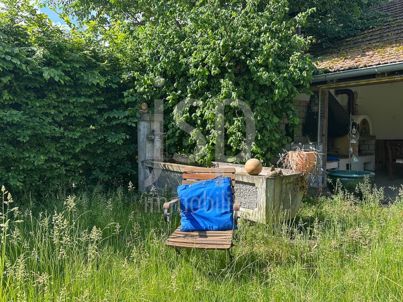 Well-maintained farmhouse with 3'397m2 plot (6)