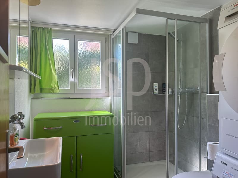 Maison avec deux appartements au bord du lac (13)