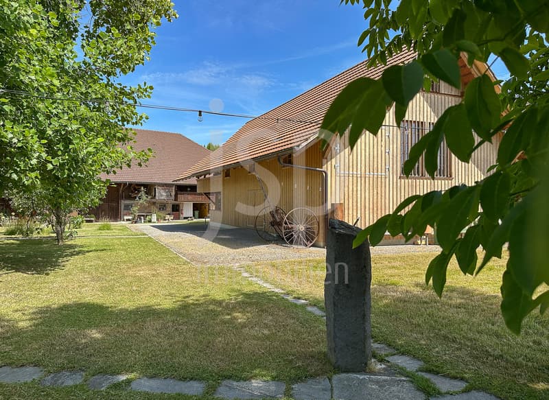Der historische Brunnenhof in Grafenried (Grundstück von 5'431m2) (12)