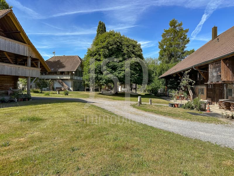 Der historische Brunnenhof in Grafenried (Grundstück von 5'431m2) (1)