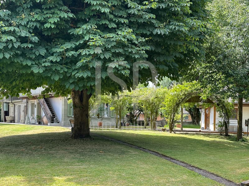 Der historische Brunnenhof in Grafenried (Grundstück von 5'431m2) (6)
