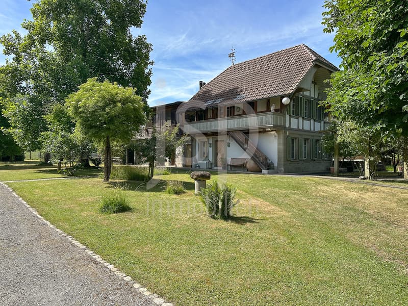 Der historische Brunnenhof in Grafenried (Grundstück von 5'431m2) (8)