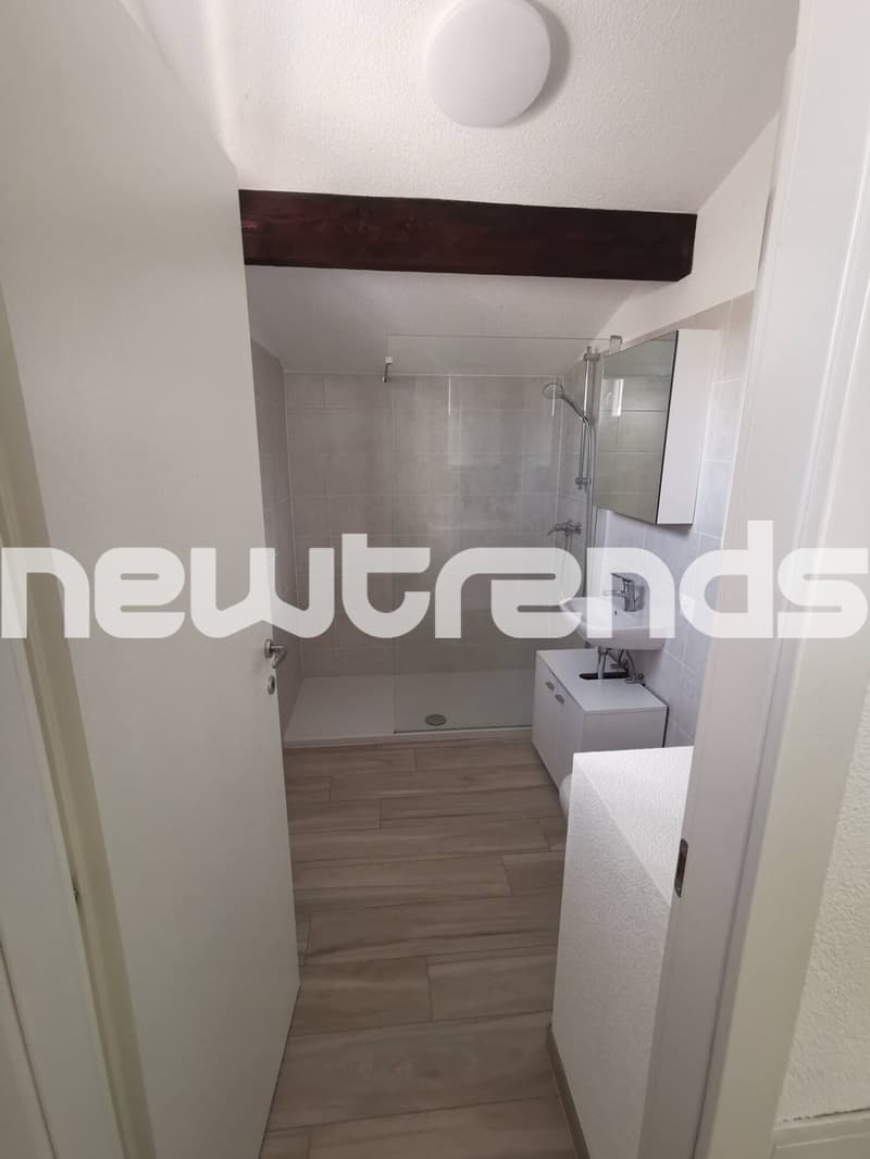 Ponte Tresa: komfortables Einzimmerapartment zur Zeit vermietet (7)