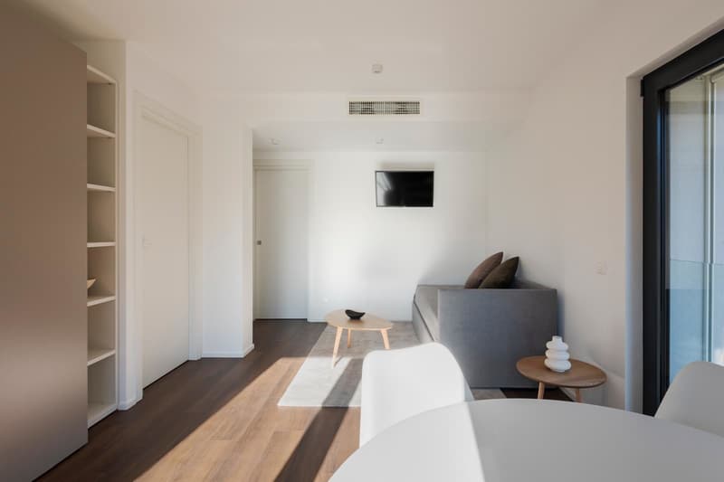 VIGANELLO, 2.5-ROOM APARTMENT FURNISHED WITH AIR CONDITIONING (2)