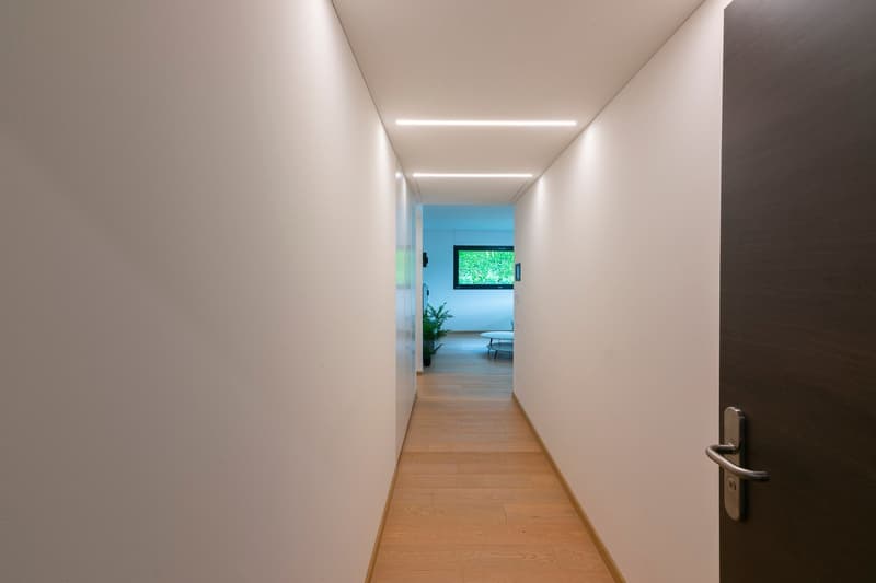 Montagnola: 3.5-room attic apartment with terrace and lake view (19)