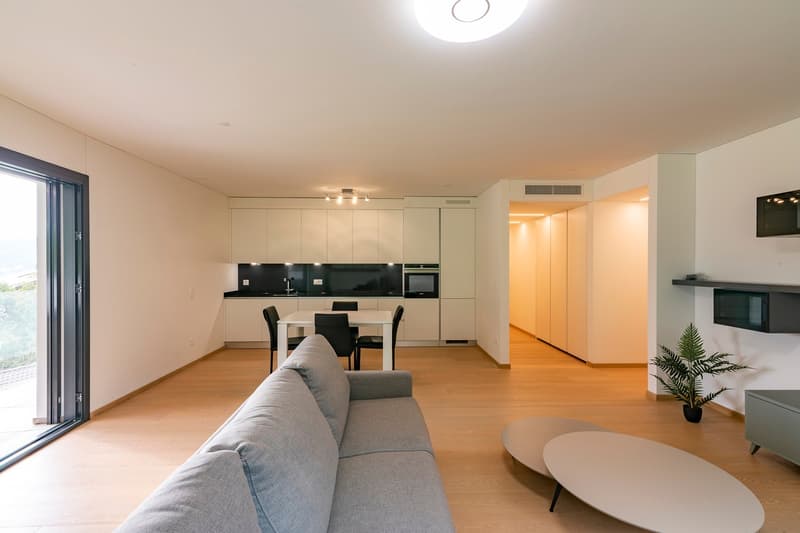 Montagnola: 3.5-room attic apartment with terrace and lake view (5)