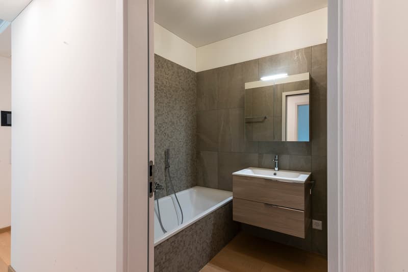 Montagnola: 3.5-room attic apartment with terrace and lake view (17)