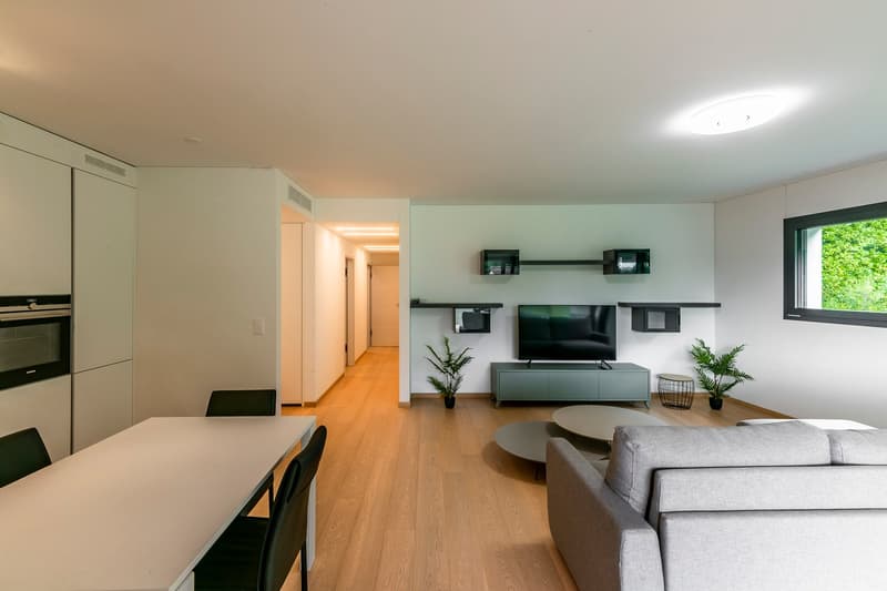 Montagnola: 3.5-room attic apartment with terrace and lake view (2)