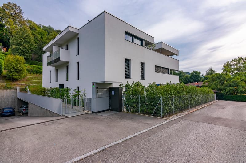 Montagnola: 3.5-room attic apartment with terrace and lake view (22)