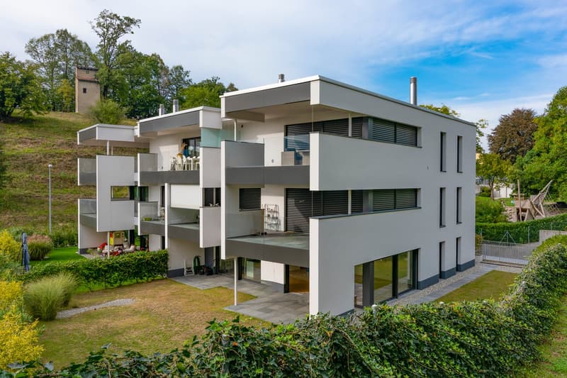 Montagnola: 3.5-room attic apartment with terrace and lake view (21)
