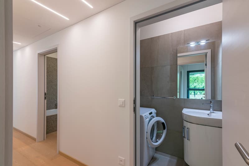Montagnola: 3.5-room attic apartment with terrace and lake view (11)