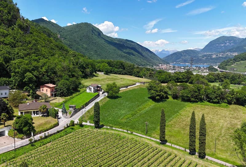 dji_fly_20240528_134022_0325_1716916255326_pho.jpg