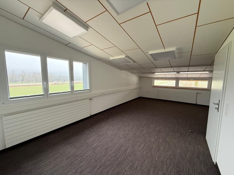 empty room, white walls, brown carpet, large windows, heating panels, bright ceiling lights