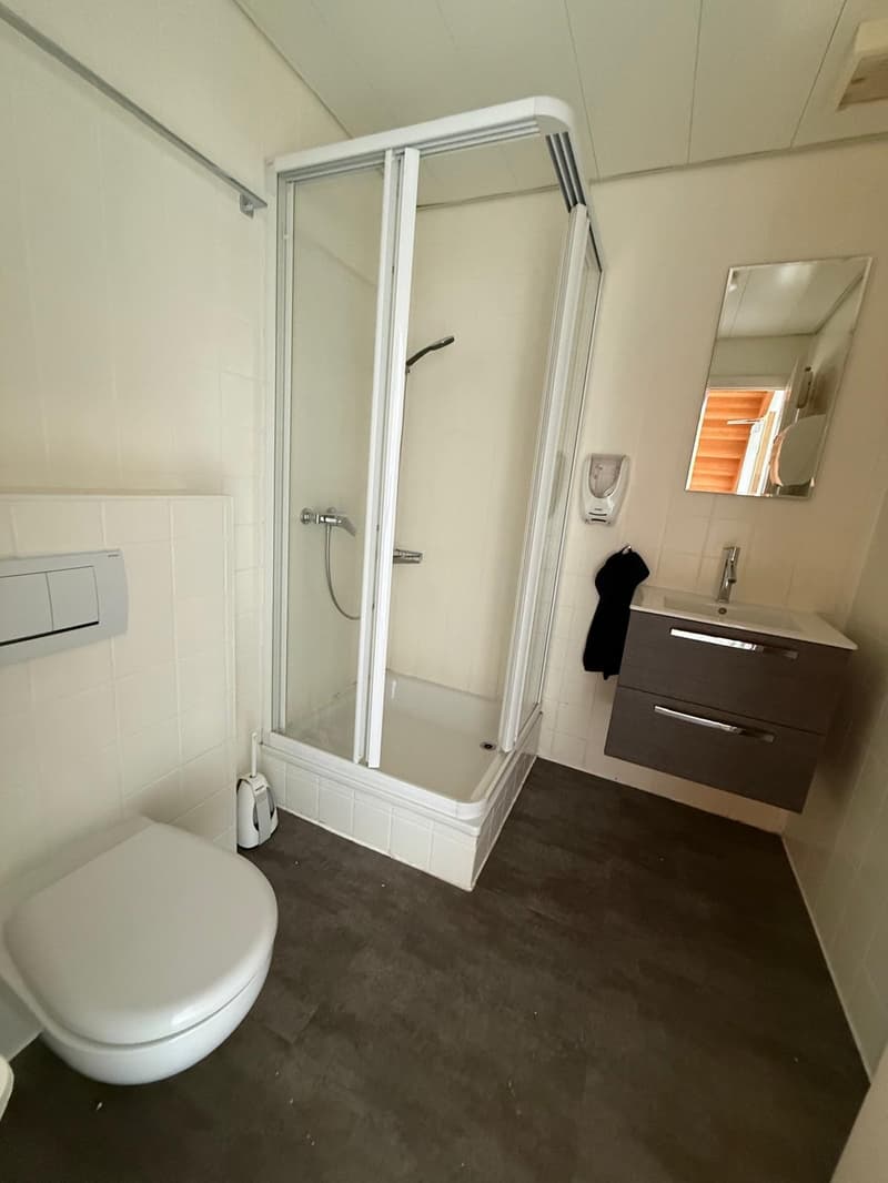 modern, clean, bright, white tiles, glass shower, white sink, vanity, toilet, shower gel dispenser