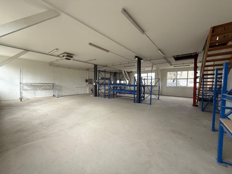 Spacious warehouse with high ceilings, metal shelving, white walls, metal shelving, concrete floor, several windows.