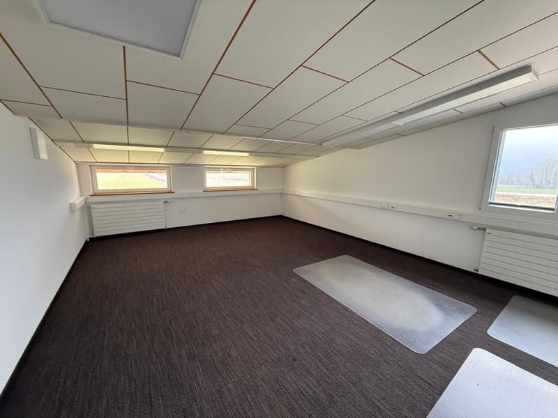 empty room, 3 windows, white walls, ceiling panels, brown carpet, square clear mats