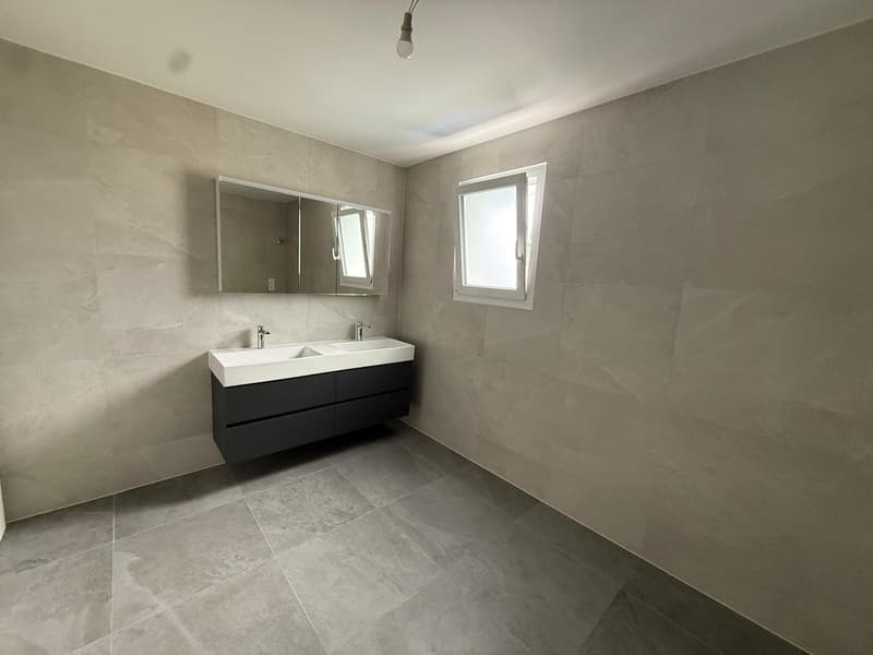 40 MINUTES FROM LAUSANNE! ONLY 2 VILLAS LEFT! (9)