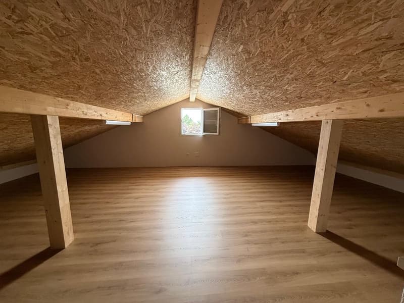 40 MINUTES FROM LAUSANNE! ONLY 2 VILLAS LEFT! (10)