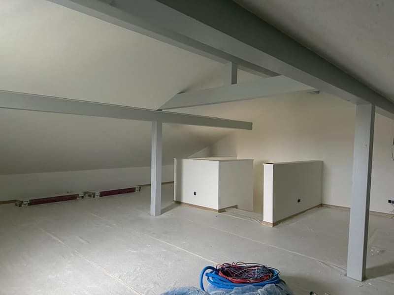 40 MINUTES FROM LAUSANNE! ONLY 2 VILLAS LEFT! (9)