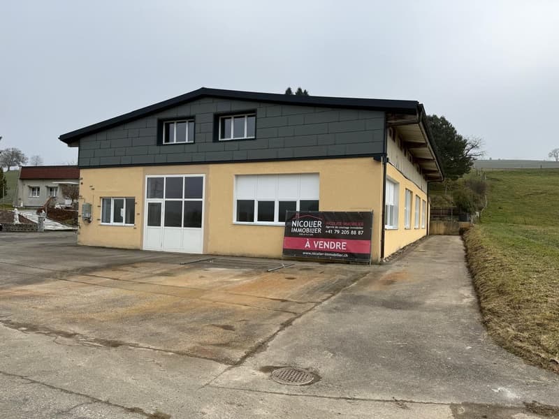 Halle für Industrie mit Büro (2)