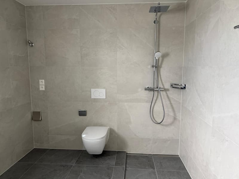 A 20 MINUTE D'YVERDON-LES-BAIN! PLUS QUE 2 VILLAS DISPONIBLES! (8)