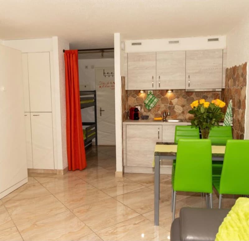 Studio meublé rénové avec terrasse – Saillon-les-Bains (2)