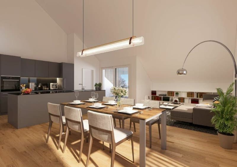 Letzte Wohnung!! Neubau Wiesental, Hallau (5)