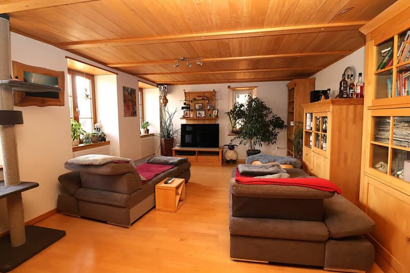 Versatile 6-room house with development potential (2)