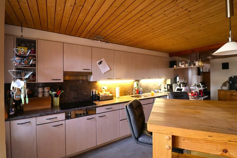 Versatile 6-room house with development potential (4)