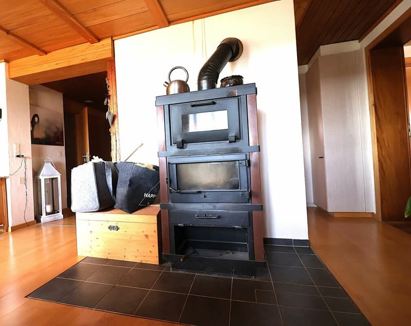 Versatile 6-room house with development potential (6)