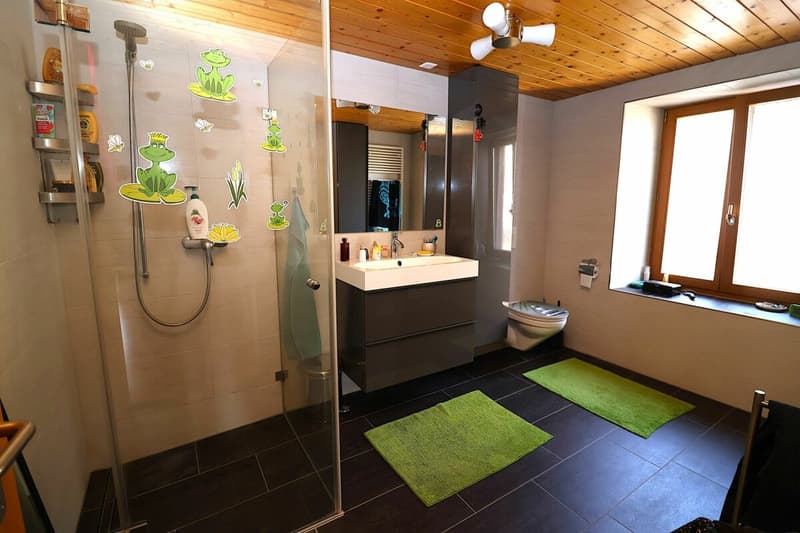 Versatile 6-room house with development potential (8)