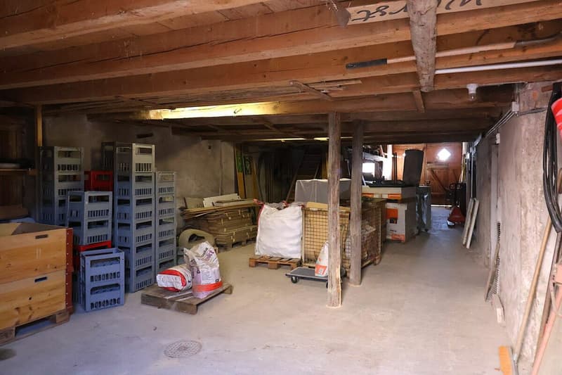 Versatile 6-room house with development potential (13)