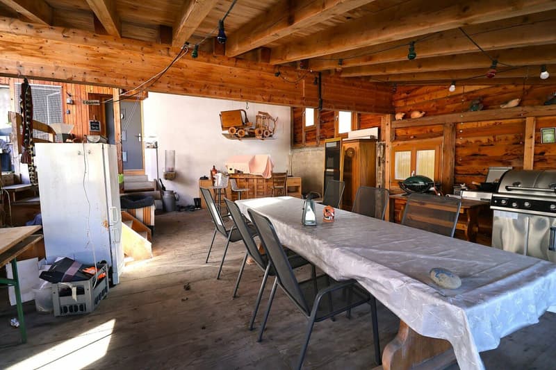 Versatile 6-room house with development potential (10)