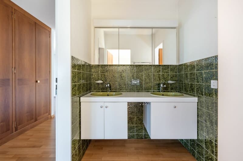 Attractive ownership apartment near Rheinfall (5)