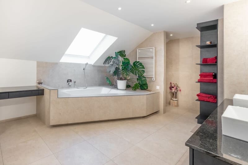Spacious single-family house with pool (7)
